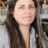 Джин Ханфф Корелиц