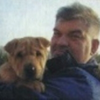 Владимир Стрельников