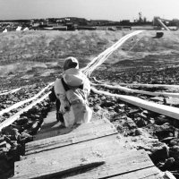 Тери Аболевич