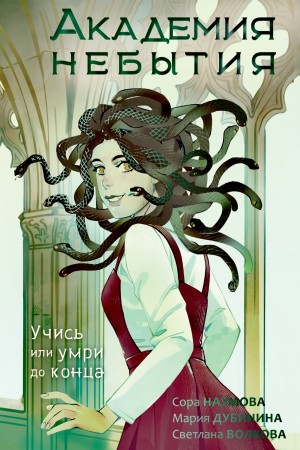 Академия небытия 1. Учись или умри до конца