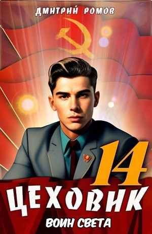 Цеховик. Книга 14. Воин света