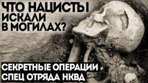 Дело № 6. Проклятая деревня