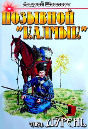 Дурень. Книга вторая. Позывной Калмык