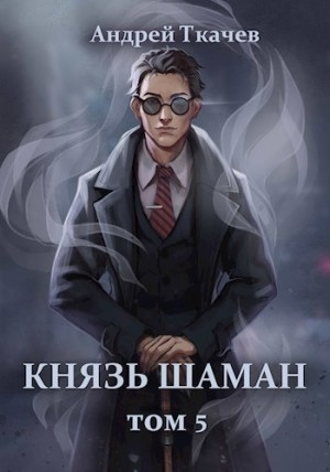Князь шаман. Книга 5