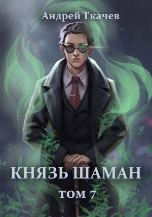 Князь шаман. Книга 7