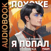 Похоже, я попал. Книга 4. Похоже, он попал