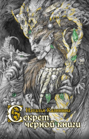 Секрет чёрной книги