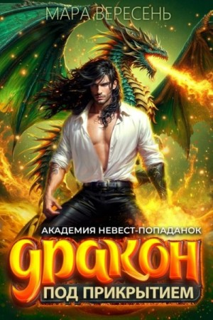 Академия невест-попаданок. Дракон под прикрытием