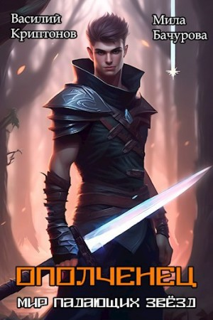 Мир падающих звезд. Ополченец