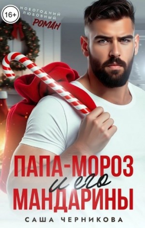 Папа-Мороз и его мандарины