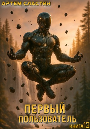 Первый пользователь. Книга 13