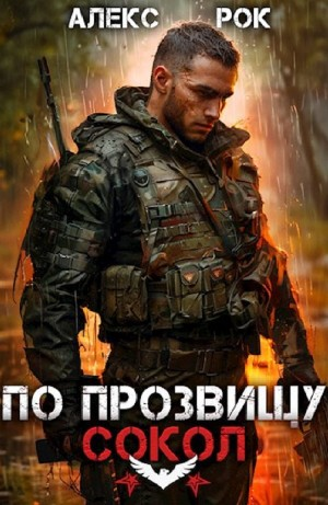 По прозвищу «Сокол». Том 1