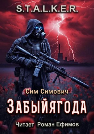S.T.A.L.K.E.R. Забыйягода