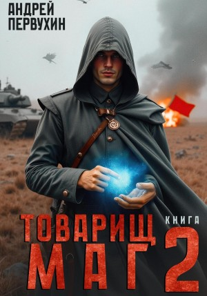 Товарищ маг. Книга вторая