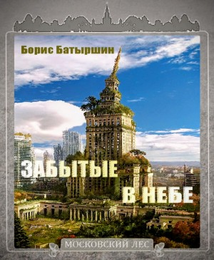 Забытые в небе