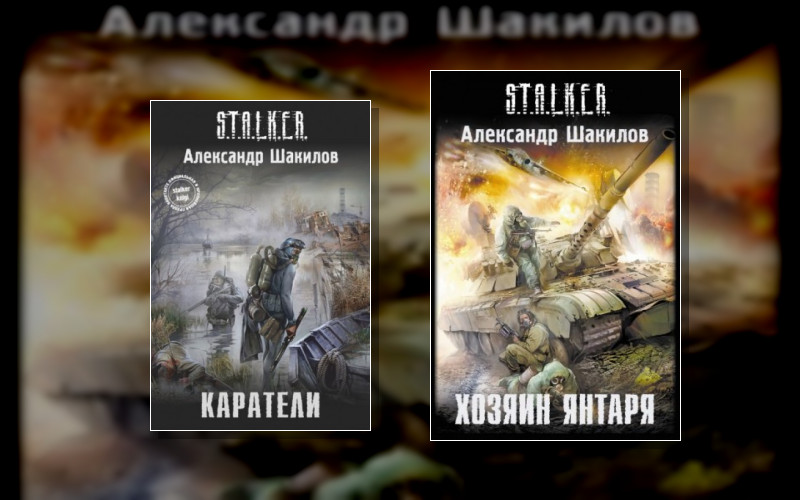 Stalker(М/А)-24. Край