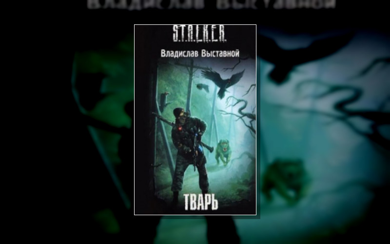 Stalker(М/А)-45. Бука