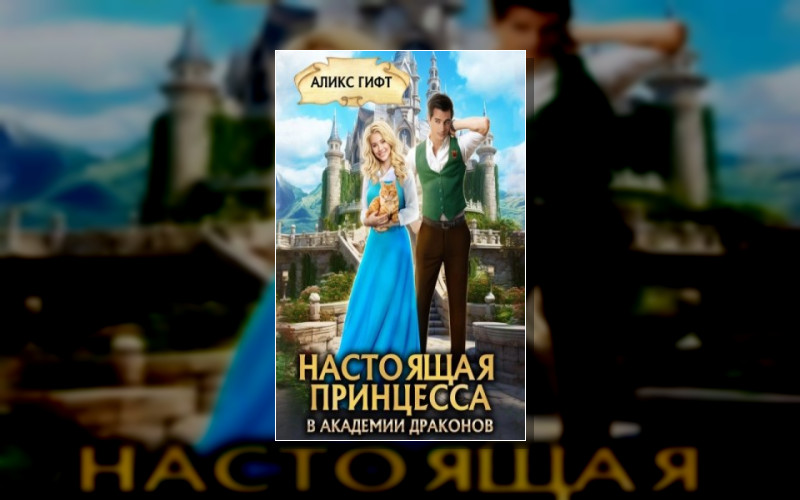 Мир Тринадцати Королевств