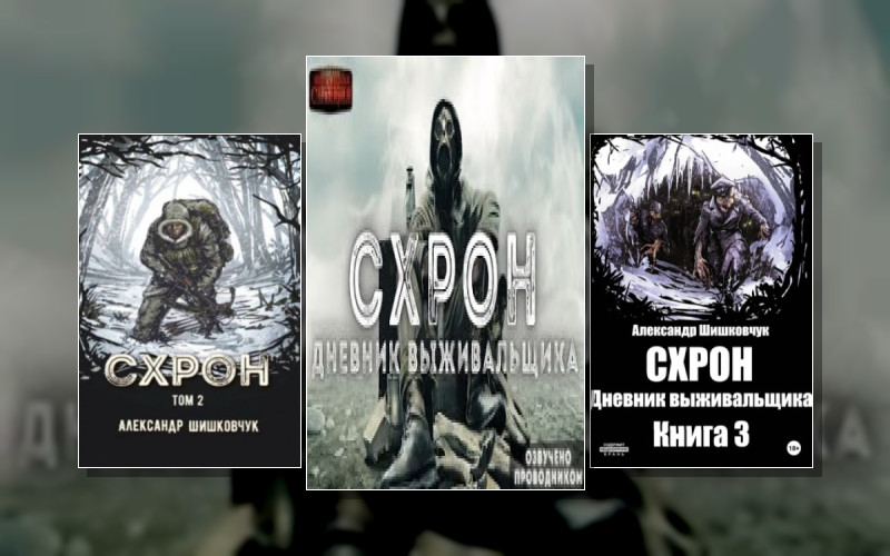Схрон. Дневник Выживальщика . Пересадочная Станция. Аудиопроект Проводника