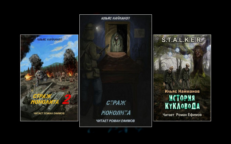 Сталкеры. Сталкер. Страж Монолита