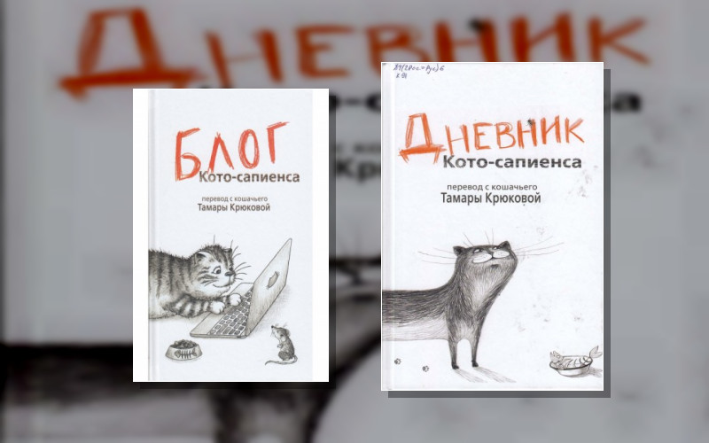 Кото-Сапиенс