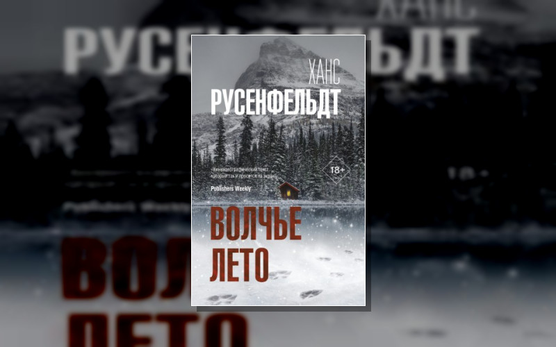 Триллер По-Скандинавски. Детектив Ханна Вестер