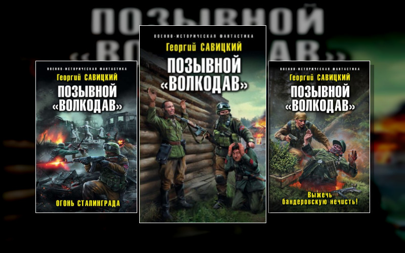 Позывной «Волкодав»