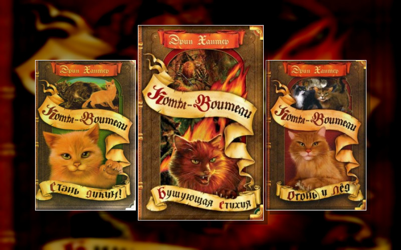 Коты-Воители