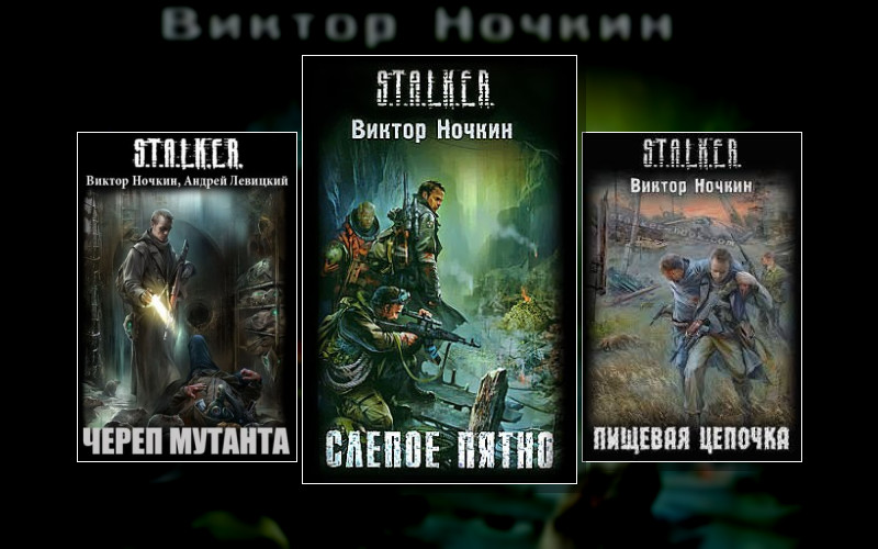 Stalker(М/А)-16. Слепой . Stalker(М/А)-05. Химик И Пригоршня