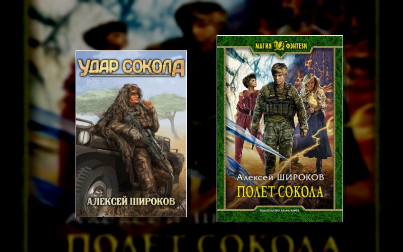 Полет Сокола