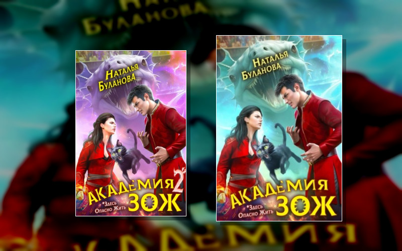 Академия Зож